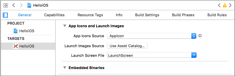 App Development and Execution (iOS)